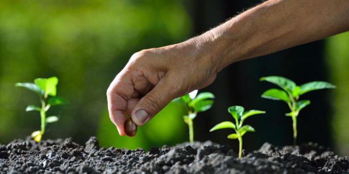 Planting the seeds for tomorrow’s success…